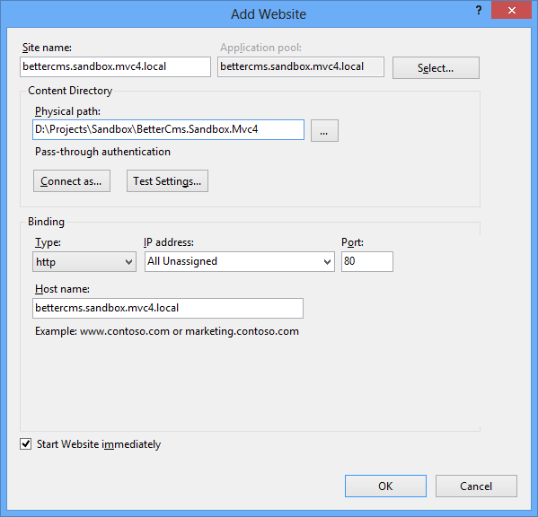 IIS website settings